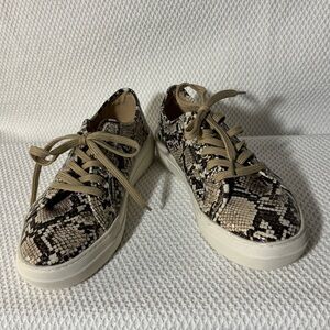 STEVE MADDEN Sz 6 Snake Print Lace Up Vegan Leathet Sneakers NEW WITHOUT TAGS